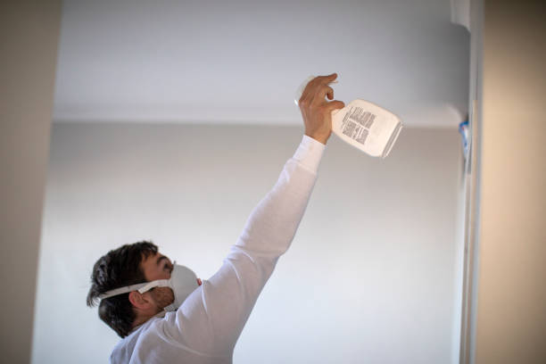 Best DIY Mold Remediation Support Services in Marinette, WI