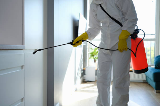 Reliable Marinette, WI Mold Remediation Solutions